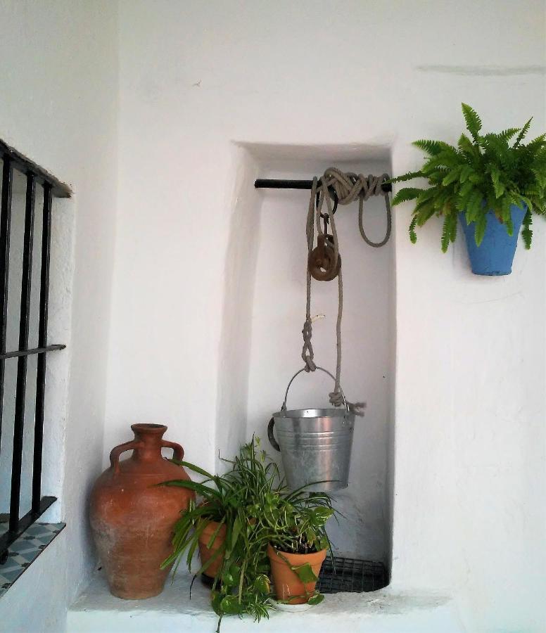 La Lectora Hotel Vejer de la Frontera Bagian luar foto